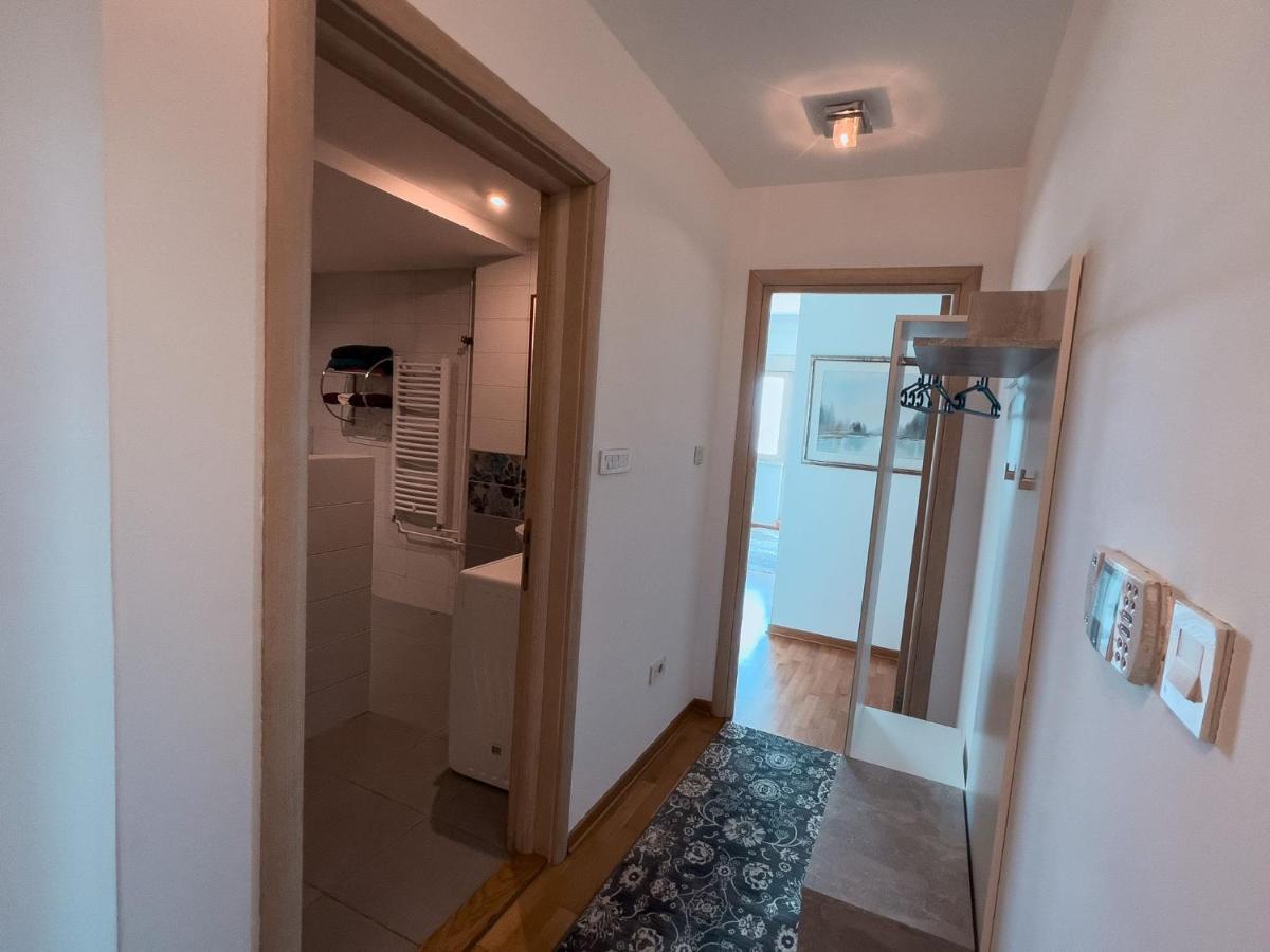 Owl Apartment بلغراد المظهر الخارجي الصورة