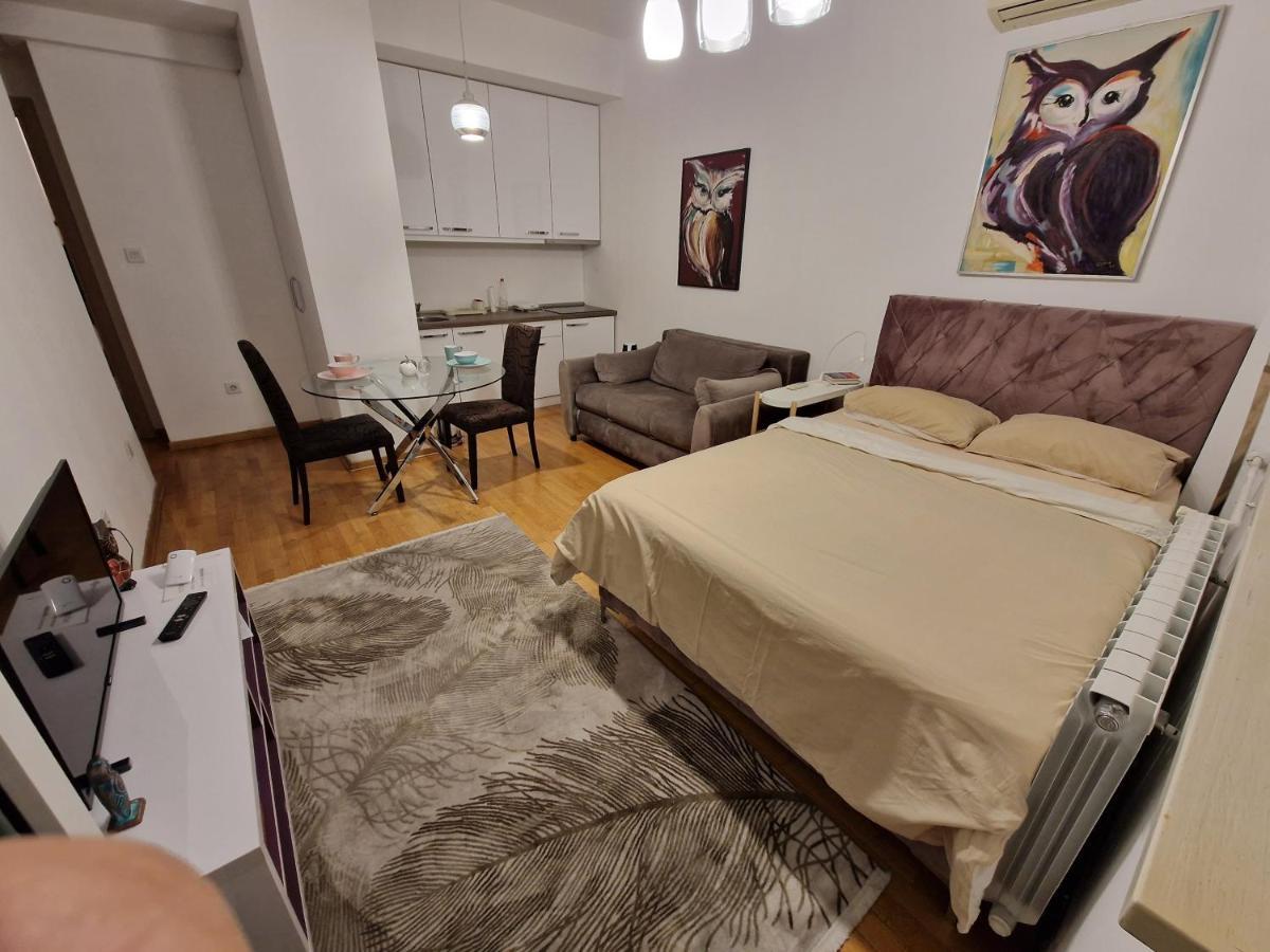 Owl Apartment بلغراد المظهر الخارجي الصورة