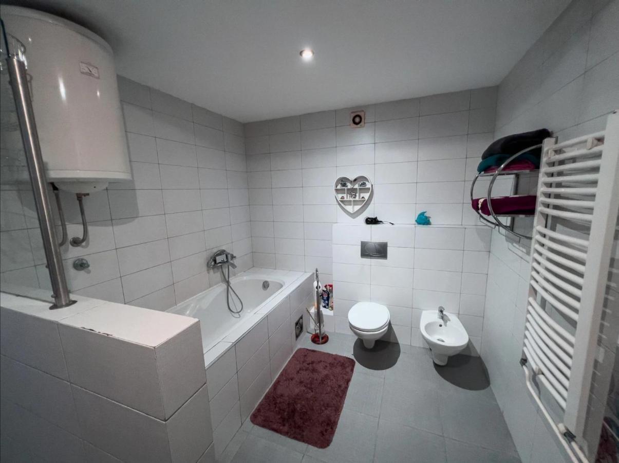 Owl Apartment بلغراد المظهر الخارجي الصورة